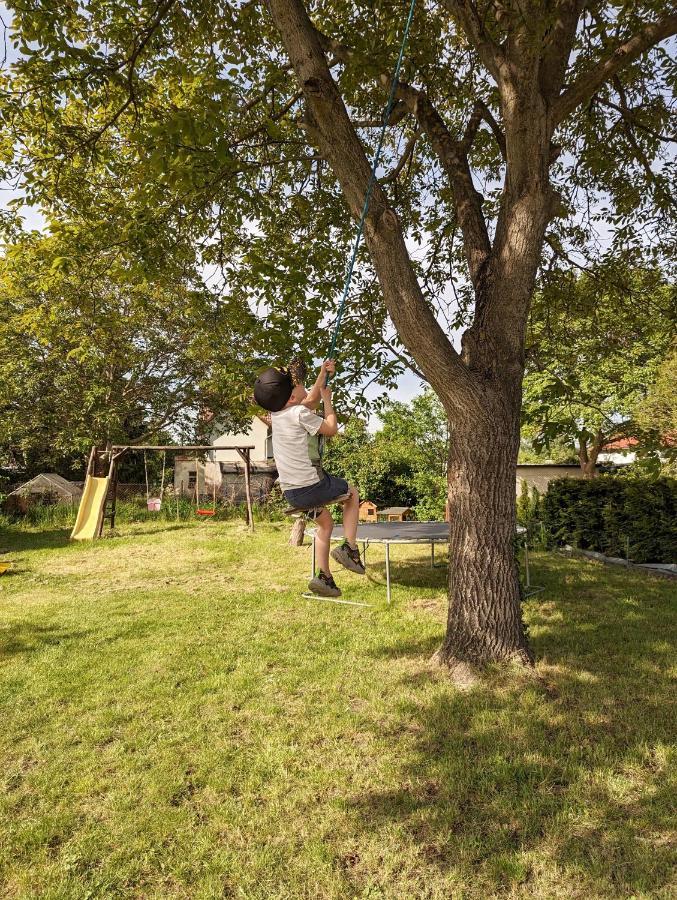 Ferienhaus Lausitz Lauta Zewnętrze zdjęcie